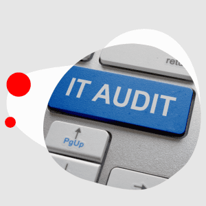IT Audit by Eyetech